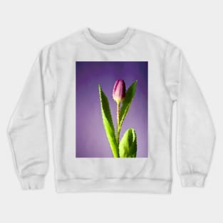 LILAC Crewneck Sweatshirt